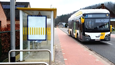 bus De Lijn Holsbeek
