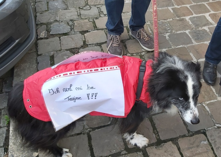 Hond betoging Hoegaarden